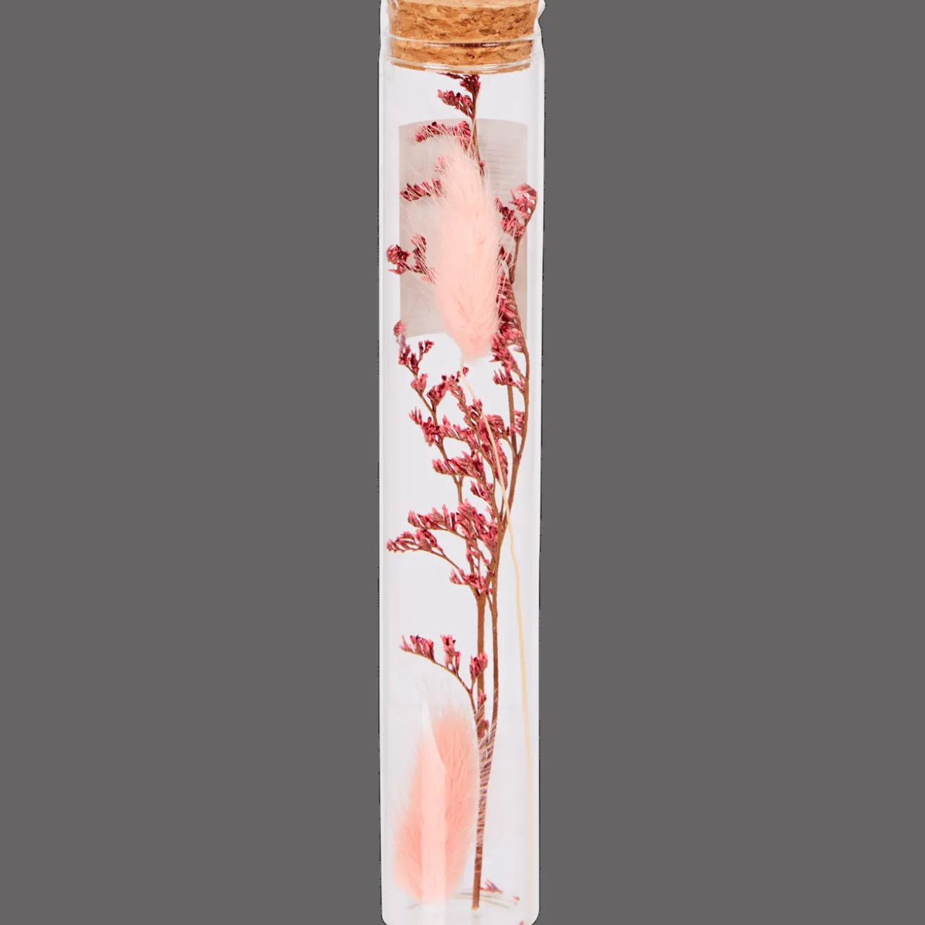 Action Wohnaccessoires<Röhrchen mit Trockenblumen